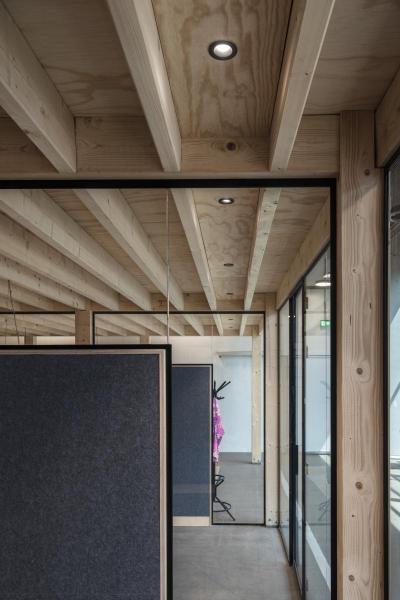 NUMINOS® DL S, Indoor LED Deckeneinbauleuchte schwarz/schwarz 3000 K 55° inkl. Blattfedern