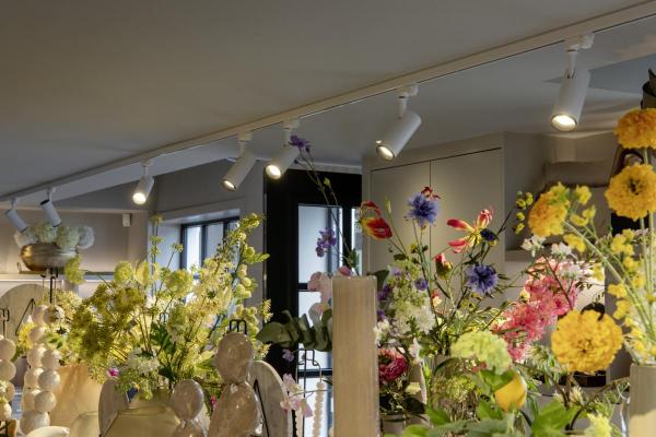 NUMINOS® S 3Ph., PHASE, 3~ Spot, zylindrisch, 2700 K, 8 Watt, Phasenabschnitt, 36°, matt weiß / matt schwarz