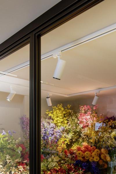 NUMINOS® S 3Ph., PHASE, 3~ Spot, zylindrisch, 2700 K, 8 Watt, Phasenabschnitt, 36°, matt weiß / matt schwarz