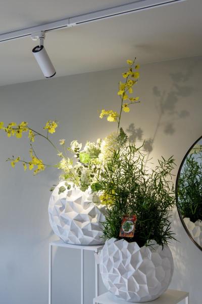 NUMINOS® S 3Ph., PHASE, 3~ Spot, zylindrisch, 2700 K, 8 Watt, Phasenabschnitt, 36°, matt weiß / matt schwarz