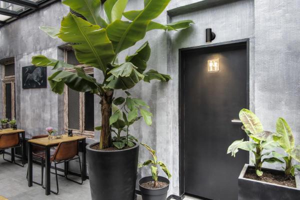 NUMINOS® S CW, PHASE, Deckenaufbauleuchte, 3000 K, 8 Watt, Phasenabschnitt, 24°, matt schwarz