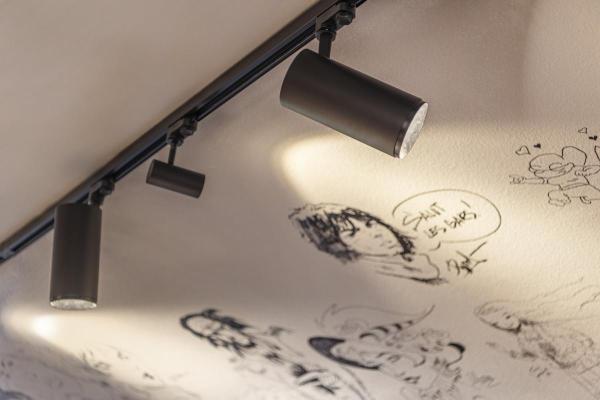 NUMINOS® L 3Ph., PHASE, 3~ Spot, zylindrisch, 2700 K, 20 Watt, Phasenabschnitt, 36°, matt schwarz