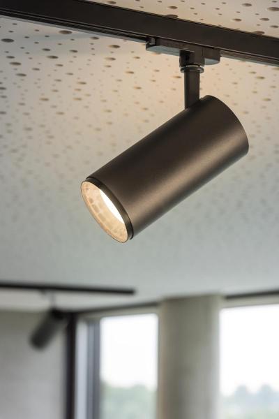 NUMINOS® M 3Ph., DALI, 3~ Spot, zylindrisch, 3000 K, 13 Watt, DALI, 36°, matt schwarz