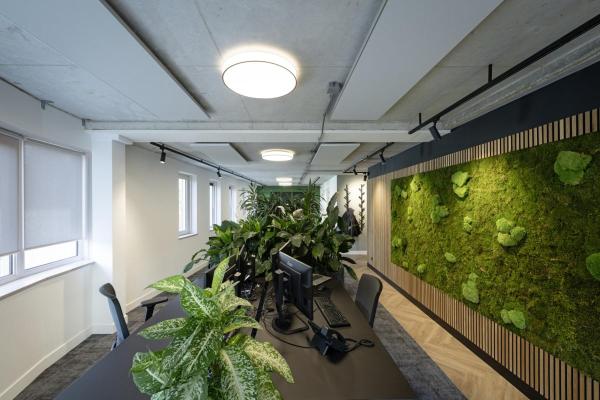 NUMINOS® M 3Ph., DALI, 3~ Spot, zylindrisch, 3000 K, 13 Watt, DALI, 36°, matt schwarz