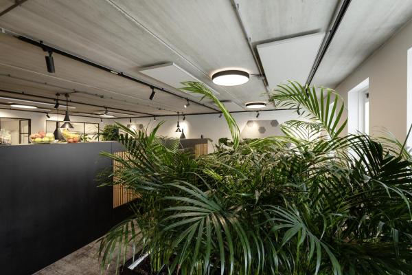 NUMINOS® M 3Ph., DALI, 3~ Spot, zylindrisch, 3000 K, 13 Watt, DALI, 36°, matt schwarz