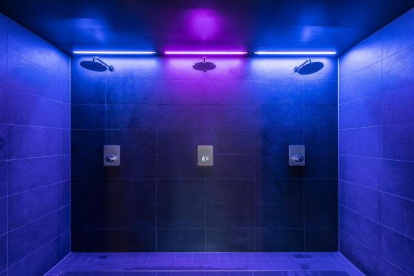 GRAZIA PRO FLEXSTRIP, FLEXSTRIP 24V 12 mm RGBW