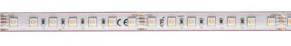 GRAZIA IP FLEXSTRIP, 24V RGBW IP55
