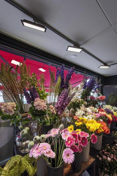 PANEL TRACK, 1 Phasen Spot schwarz 18 W 3000 K