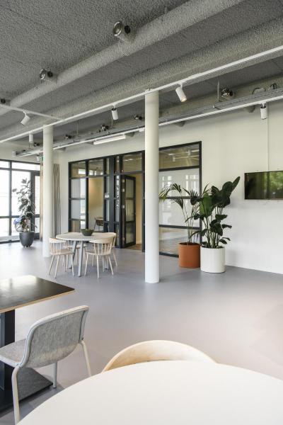 SIGHT TRACK, 3 Phasen Spot weiss CCT