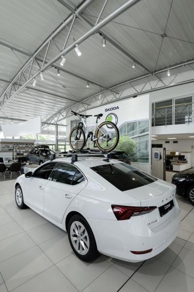 NUMINOS® XL 3Ph., PHASE, 3~ Spot, zylindrisch, 4000 K, 28 Watt, Phasenabschnitt, 60°, matt weiß / matt schwarz