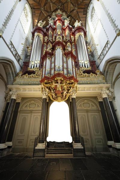 NUMINOS ZOOM M, 3 Phasen Spot schwarz 20 W 4000 K 15-60°