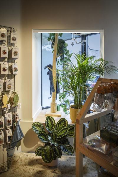 IN-LINE 22 48V TRACK, opal, DALI, Spot, weiß / weiß, 7.3 W, 570 lm, 3000 K, CRI 90, 95°