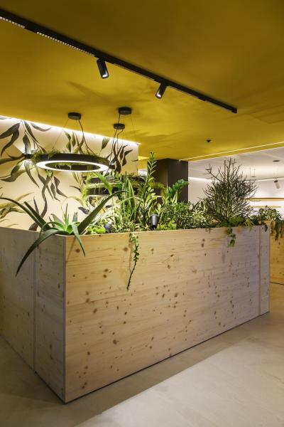 NUMINOS® S 48V TRACK, DALI, Spot, schwarz / schwarz, 16 W, 1030 lm, 3000 K, CRI 90, 55°