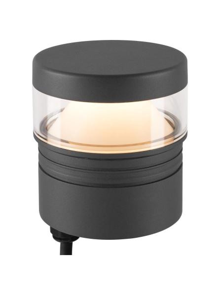 M-POL S Polehead 360°, entblendet, Leuchtenkopf, anthrazit, 10 W, 750 lm, 2700 K, CRI 80