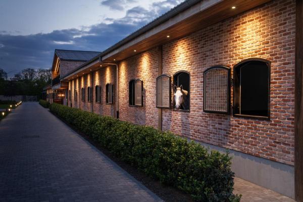 NEW TRIA®, LED-Modul, 2700 K, 38°, PHASE, schwarz