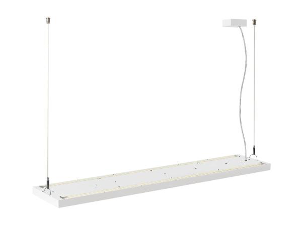 WORKLIGHT PRO 120, Pendelleuchte, 120 cm, 4000 K, DALI, Touch, weiß