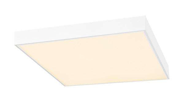 PANEL V DALI 600, 34 W 830/840 UGR 