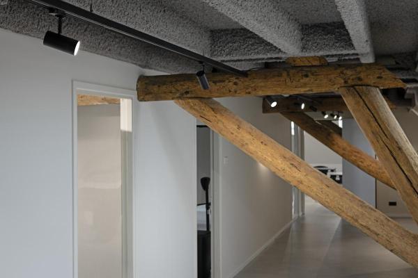 NOBLO® SPOT, 3~ Spot, rund, 4000 K, 6 W, Phasenabschnitt, 32°, schwarz