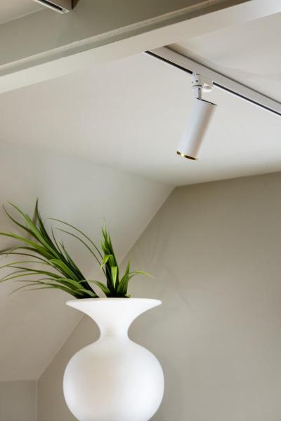 NUMINOS® L, Frontring, matt gold