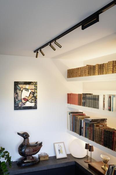 GRIP! S, 48V Spot, zylindrisch, 3000 K, 9.8 W, DALI, 29°, bronze / schwarz