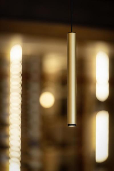 GRIP! L, Dekoring, gold