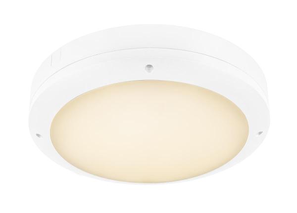 OUTDOOR BULKHEAD V 360, 20W 830/840/856 IP65 IK10 weiß