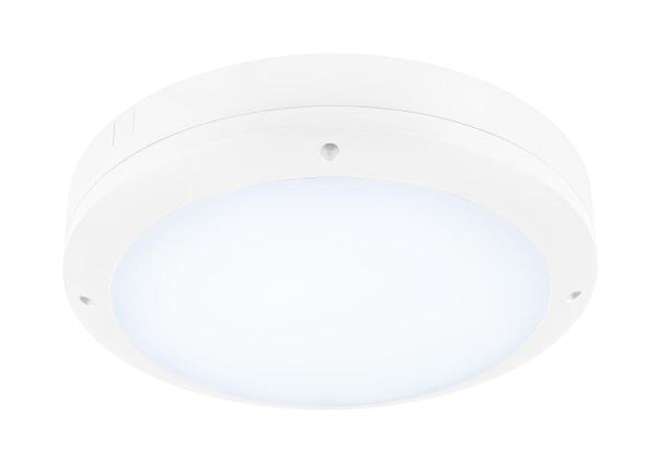 OUTDOOR BULKHEAD V 360, SENSOR 20W 830/840/856 IP65 IK10, weiß