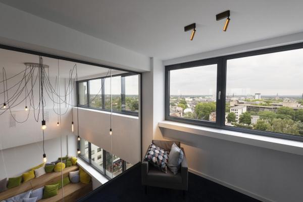 GRIP! S, Deckenaufbauleuchte, single, PHASE, 3000 K, 11 W, 29°, gold / schwarz