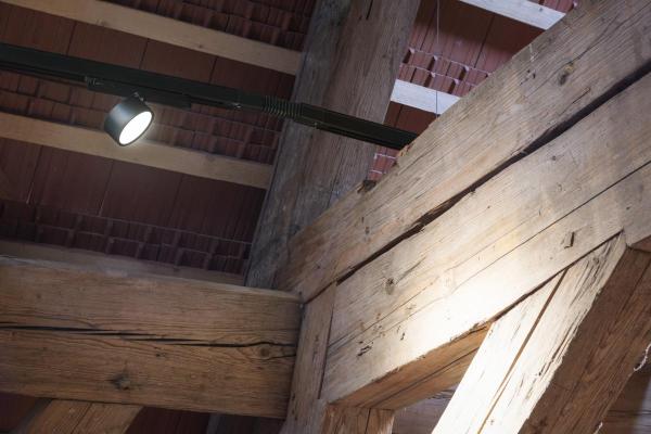 KALU 2.0, 3~ Spot, PHASE, zylindrisch, 3000 K, 10 W, 36°, schwarz