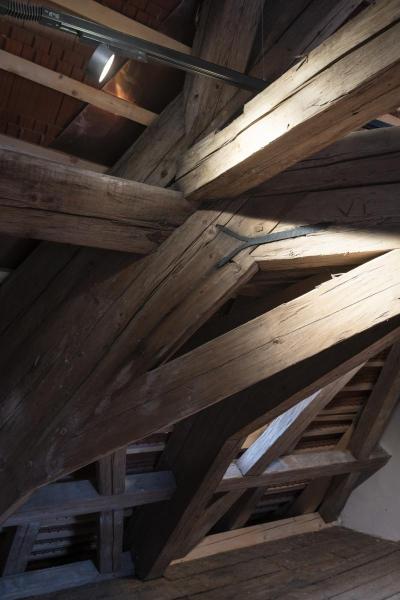 KALU 2.0, 3~ Spot, PHASE, zylindrisch, 3000 K, 10 W, 36°, schwarz