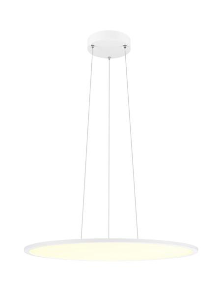 PANEL 60, Pendelleuchte, rund, DALI, Pendellänge 200 cm, 3000/4000K, 90°, weiß