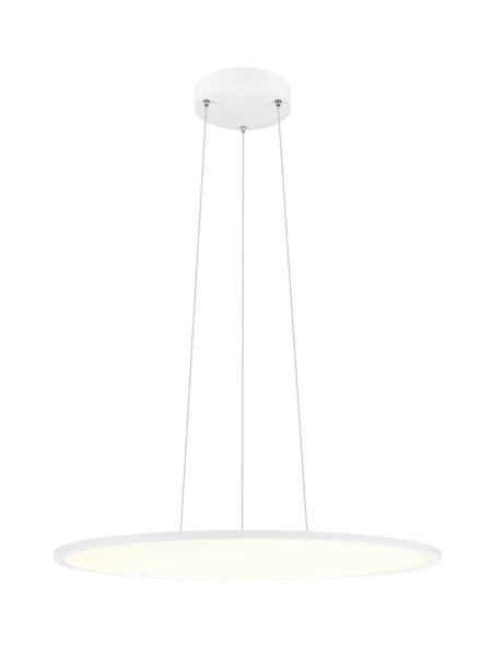 PANEL 60, Pendelleuchte, rund, DALI, Pendellänge 200 cm, 3000/4000K, 90°, weiß