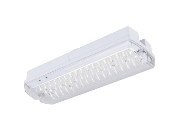P-LIGHT, Wand- und Deckenaufbauleuchte, rechteckig, 6000K, 5.2 W, weiß / transparent