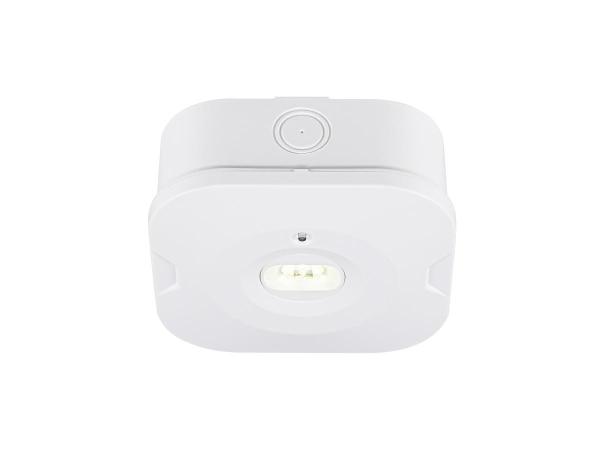 P-LIGHT, Deckenaufbauleuchte, quadratisch, 6000K, 1.2 W, weiß