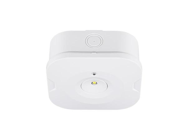 P-LIGHT, Deckenaufbauleuchte, quadratisch, 6000K, 1.2 W, weiß