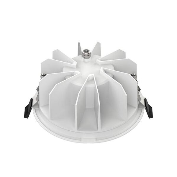 DOWNLIGHT P, 165 30 WM 840 60 ML DALI WH IP54