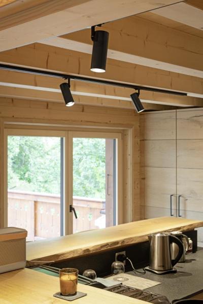 HELIA 50 TRACK, Strahler für 1Phasen Hochvolt-Stromschiene, LED, 3000 K, schwarz, 35°, inkl. 1 Phasen-Adapter