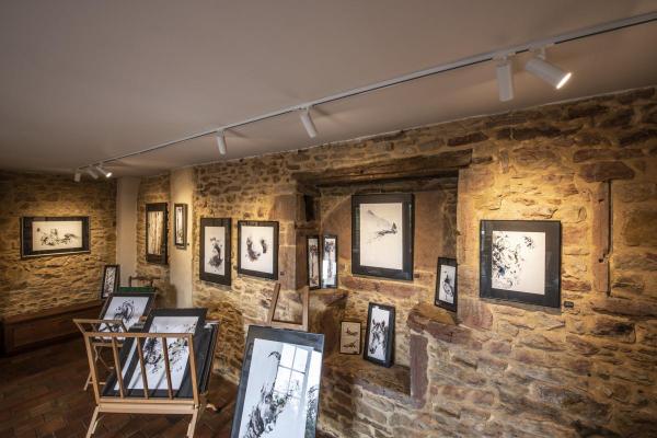 HELIA 50 TRACK, Strahler für 1Phasen Hochvolt-Stromschiene, LED, 3000 K, weiß, 35°, inkl. 1 Phasen-Adapter