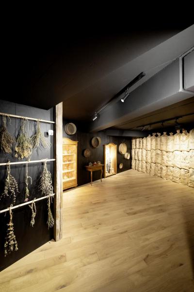 HELIA 50 TRACK, Strahler für 3Phasen Hochvolt-Stromschiene, LED, 3000 K, weiß, 35°, inkl. 3 Phasen-Adapter