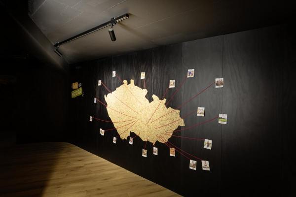 HELIA 50 TRACK, Strahler für 3Phasen Hochvolt-Stromschiene, LED, 3000 K, weiß, 35°, inkl. 3 Phasen-Adapter