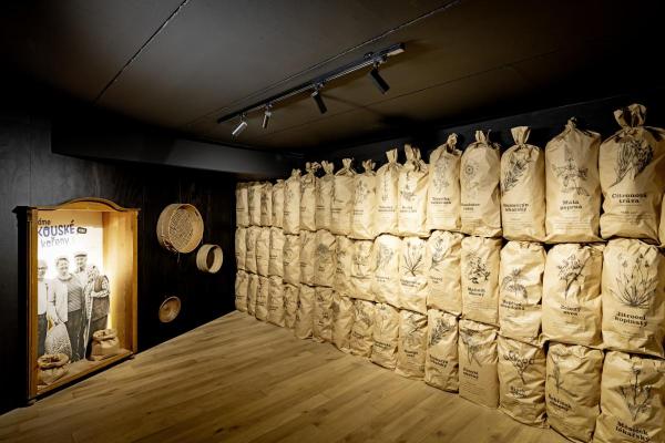 HELIA 50 TRACK, Strahler für 3Phasen Hochvolt-Stromschiene, LED, 3000 K, weiß, 35°, inkl. 3 Phasen-Adapter