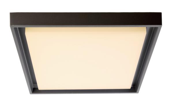 Decken- und Wandaufbauleuchte - Ascella, 30 W, 3000 K, Dunkelgrau