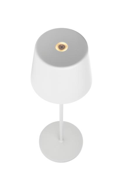 Akkuleuchte - Set Canis Dunkelgrau + Ladesockel