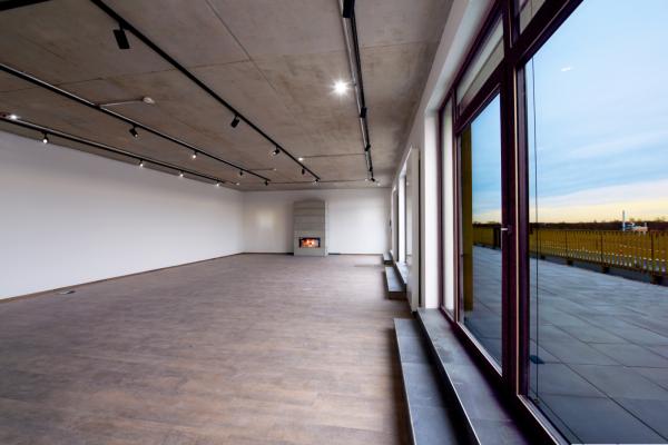 3-Phasen-Spot - Aaron, 79 W, 3000 K, Schwarz