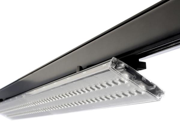 3-Phasenleuchte - Linear Pro, Tilt, 50 W, DALI, 4000 K, Schwarz