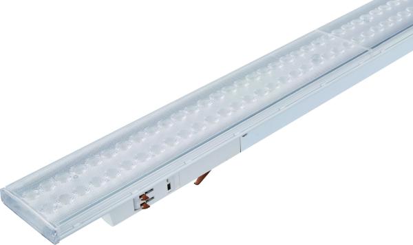 3-Phasenleuchte - Linear Pro, Tilt, 50 W, DALI, 3000 K, Weiß