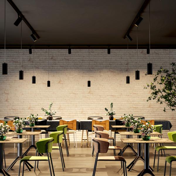 3-Phasen-Pendelleuchte - Lucea 10, 10 W, DALI, 2700 K, Schwarz