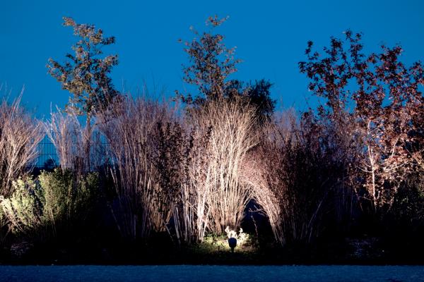 Fluter - Colt COB, 8 W, DIM, 3000 K, Schwarz