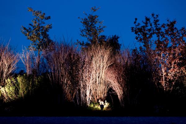 Fluter - Colt COB, 15 W, DIM, 3000 K, Schwarz