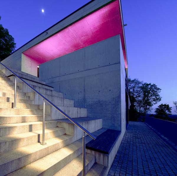 LED Stripe - D Flex Line Top-View, Neon, 24V-10W, RGB/3000K, 5m, PU